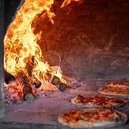 Calypso Palace Feriested Faliraki